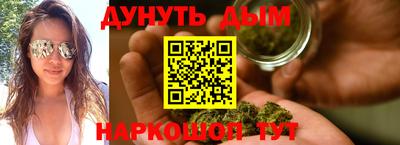индика Кингисепп