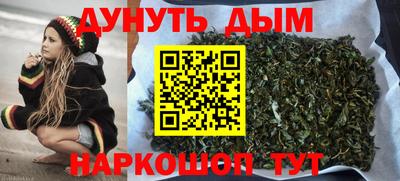 индика Кингисепп