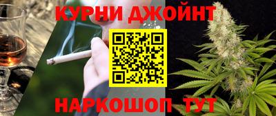 индика Кингисепп