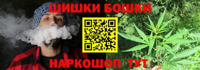 индика Кингисепп