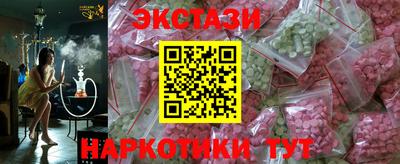 индика Кингисепп
