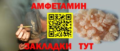 индика Кингисепп